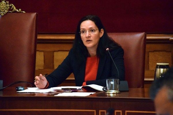 180126-pleno-ayuntamiento-zaida-gonzalez