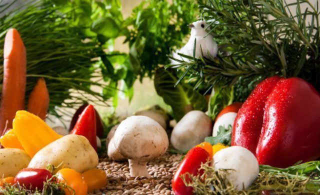 alimentos_656x400