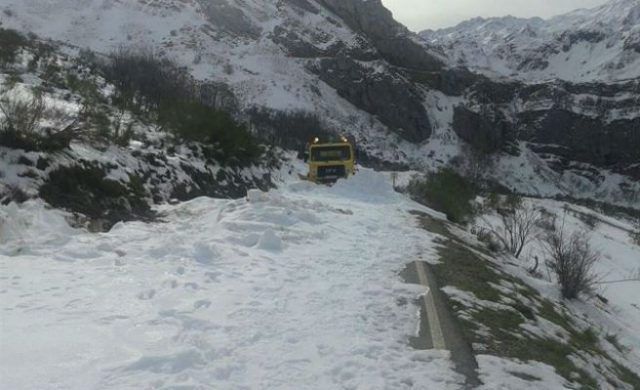 nieve-n-672xxx80