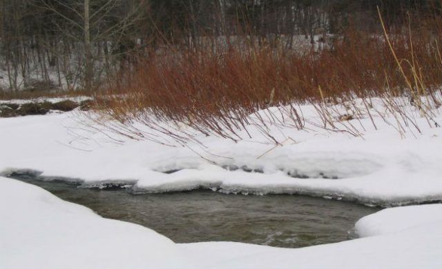nieve_656-1