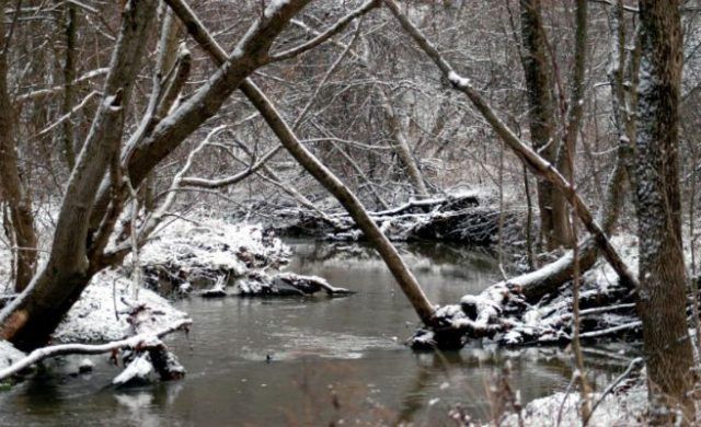 nieve_656