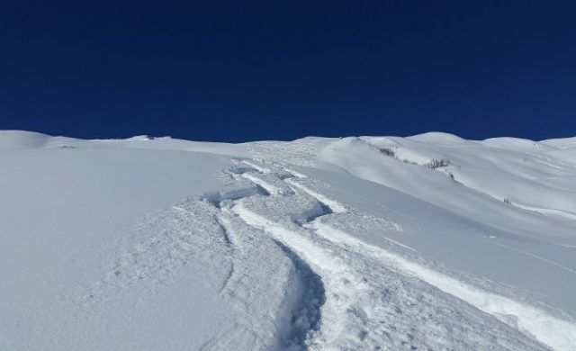 ski-656