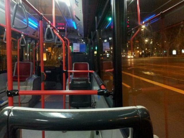buhos-zaragoza-dias-circulacion