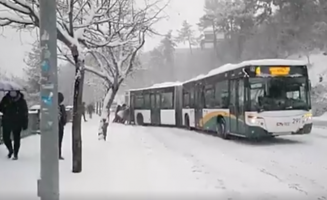 bus-normal