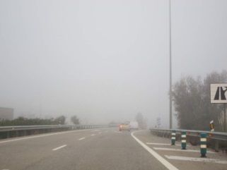 niebla1