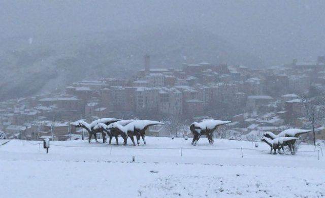 nieve-n