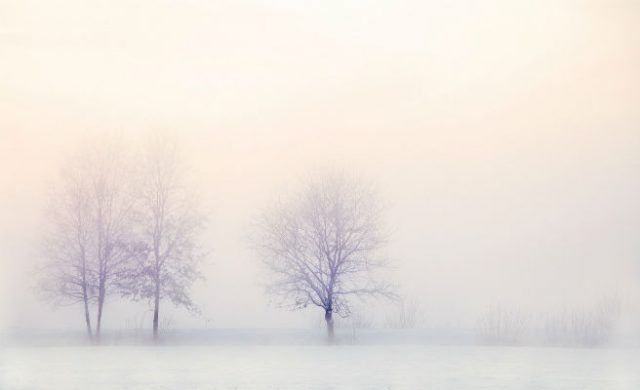 nieve_656-1