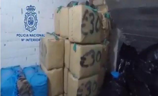 policia-normal
