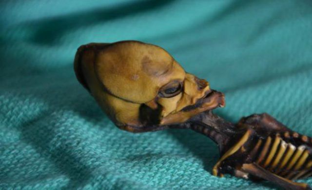 02-atacama-tiny-mummy-normal