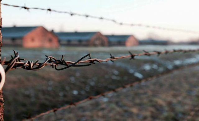auschwitz_n