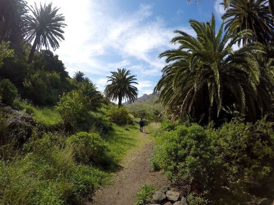 parque-rural-de-anaga