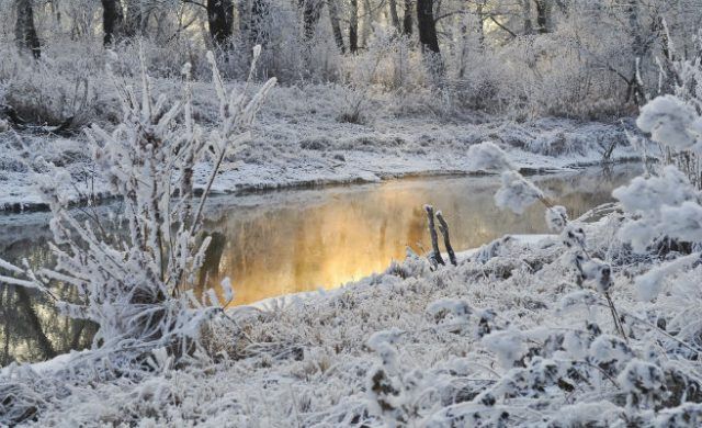 snow-656-1