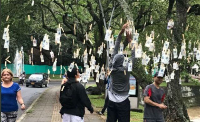 arbol-dinero-656