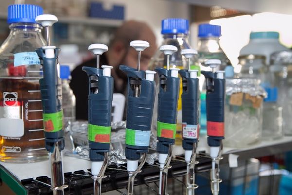 detalle-de-uno-de-los-laboratorios-de-la-unidad-de-investigacion-del-hospital-universitario-nuestra-senora-de-candelaria