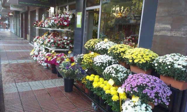flores