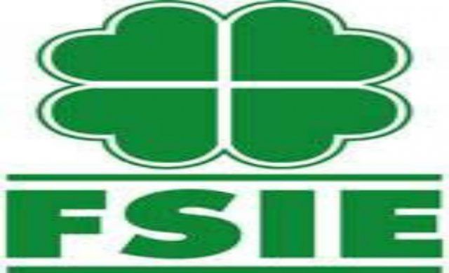fsie-normal-ok-1