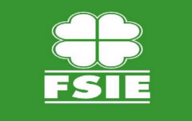 fsie-normal-ok