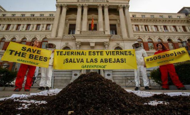 greenpeace-n