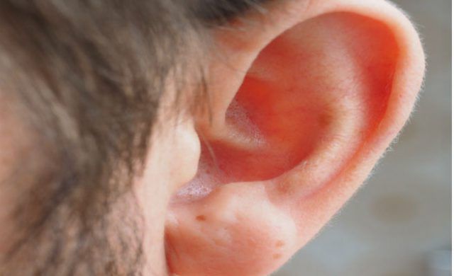 oreja-656