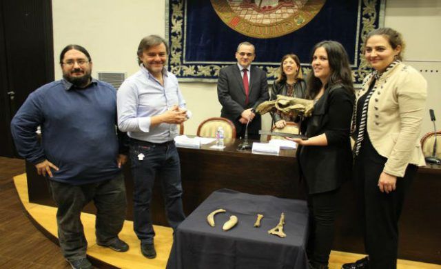 servimedia_656