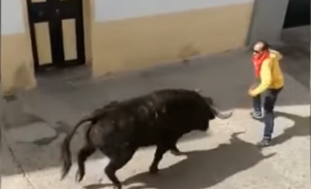 toro-aleluya-n
