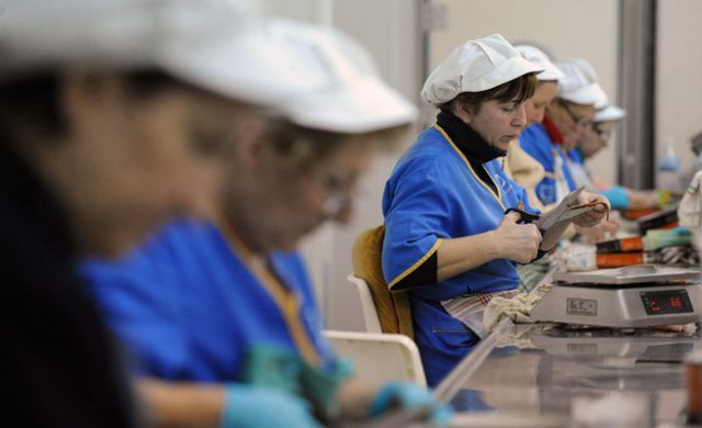 trabajadores