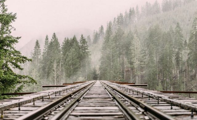 trenes-n