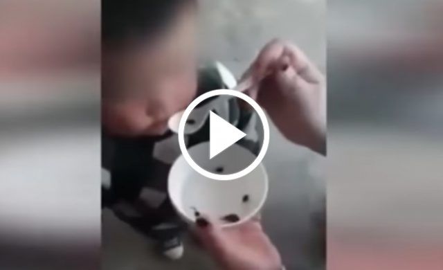 video-foto-normal