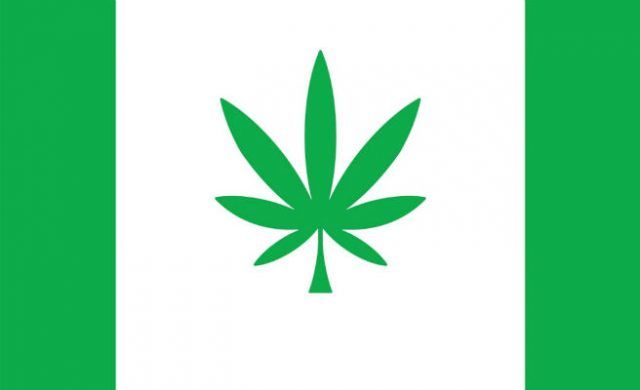 bandera_656