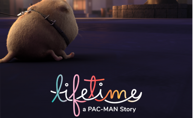 lifetime-n