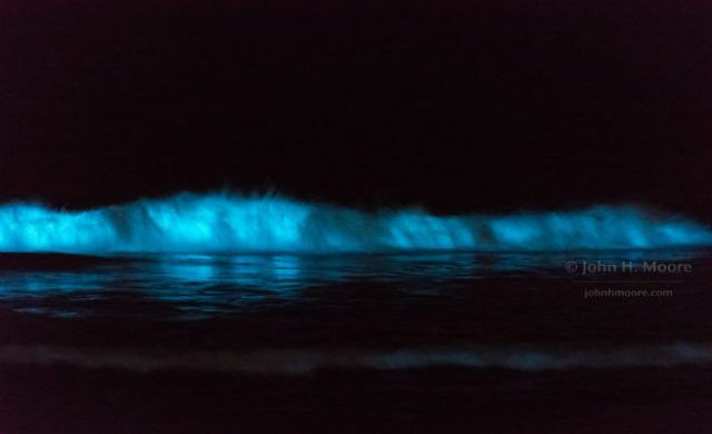 mar_656