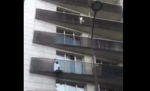 rescate_656