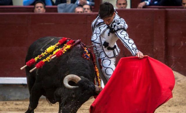 toros-n