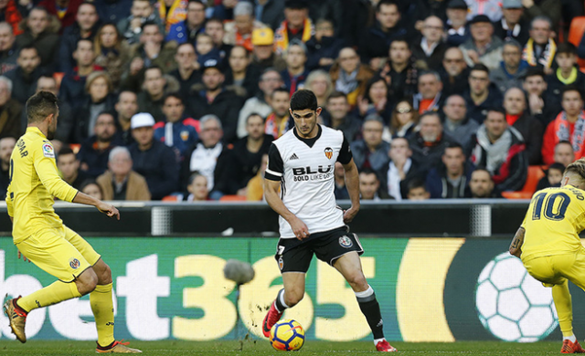 vcf-vil-n