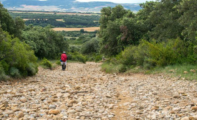 camino-santiago-n