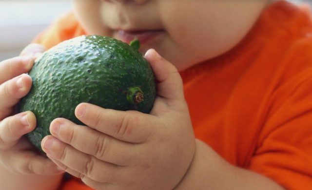 nutricion-bebe-n