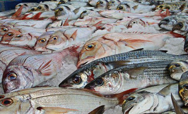 pescado_656