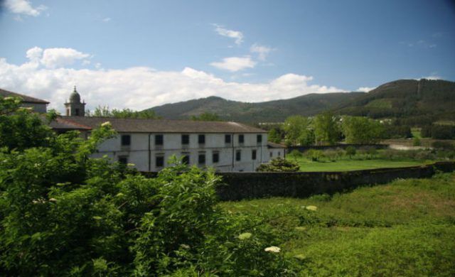 vivero_656