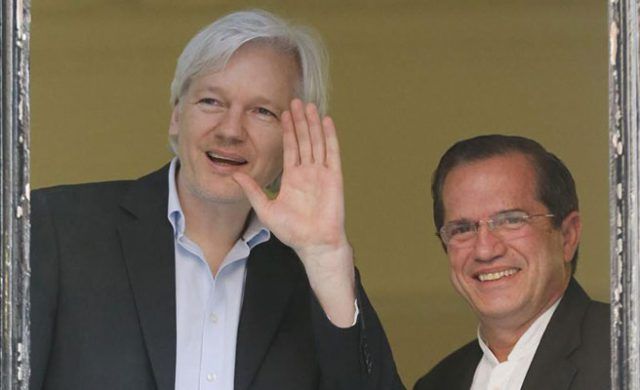 assange-msn