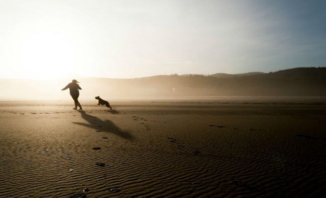 mascota-playa-656-400