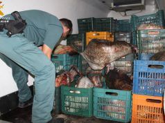 quitar espina de pescado en la garganta