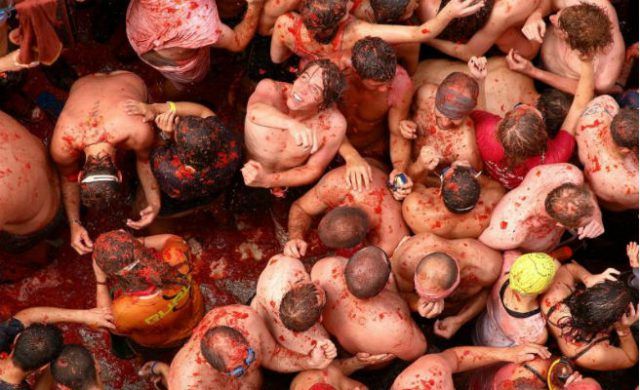tomatina-n