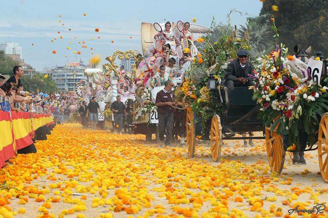 valencia-flores