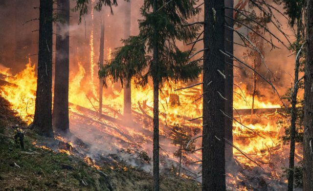 incendio_forestal_656x400