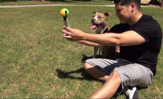 poochselfie_nor