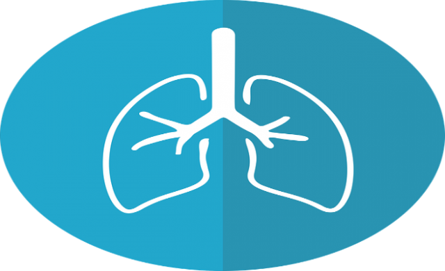 pulmones-656-400