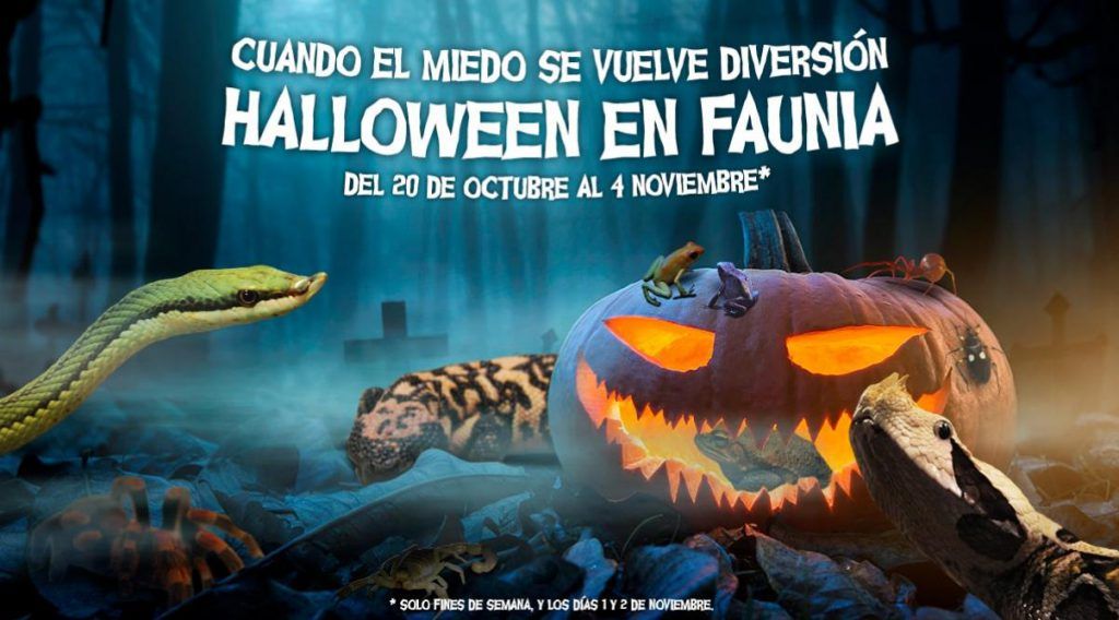 Halloween Faunia 2018 Carrousel