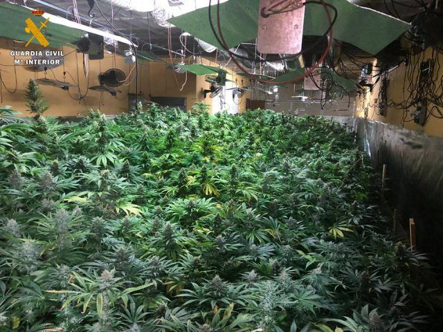 Cultivo indoor