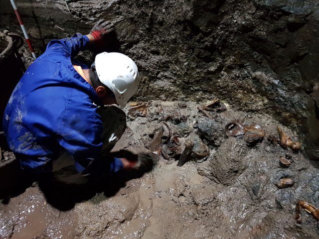 Un arqueólgo entre restos encontrados en el interior del Pozo de Tenoya