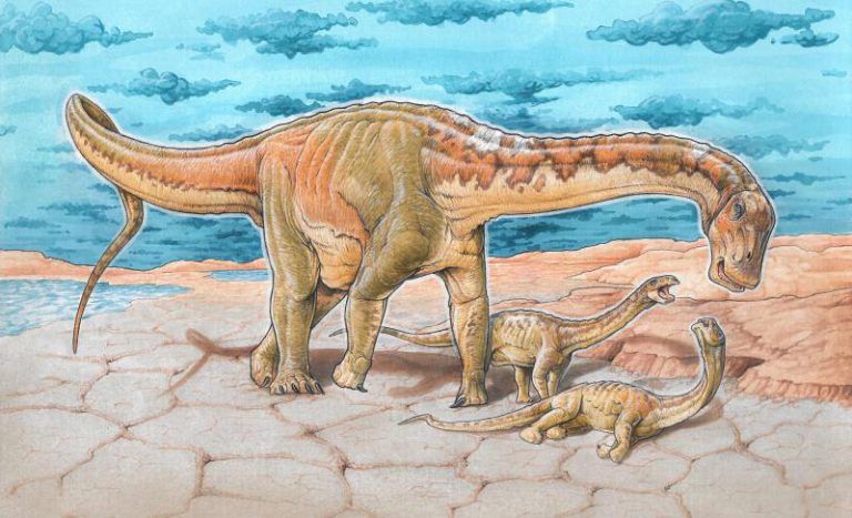 Descubren un nuevo tipo de dinosaurio en la Patagonia argentina
